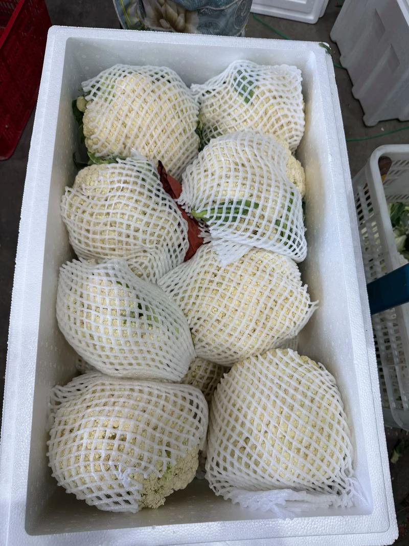贸易批发行业的市场动态分析